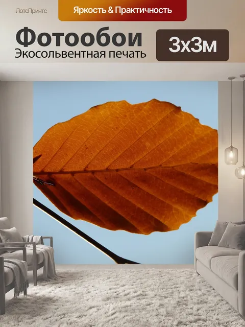 Фотообои Лист