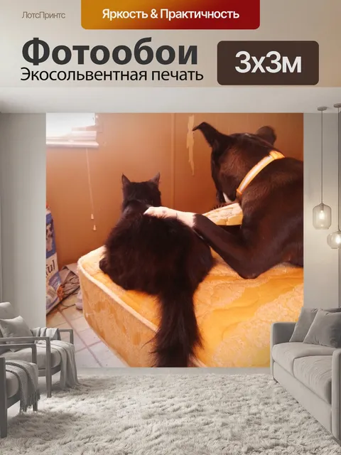 Фотообои Лучшие друзья