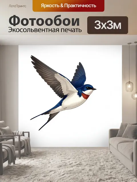 Фотообои Ласточка в полете на белом фоне