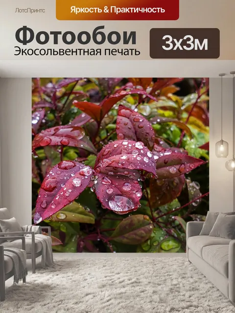 Фотообои Капли дождя Красные листья