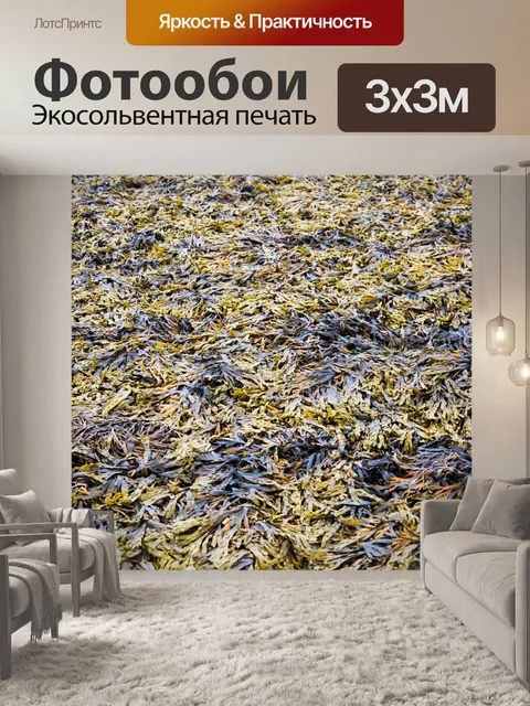 Фотообои Водоросли
