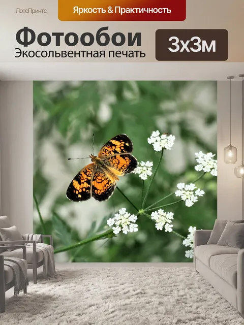 Фотообои Серебристая клетчатая бабочка 6