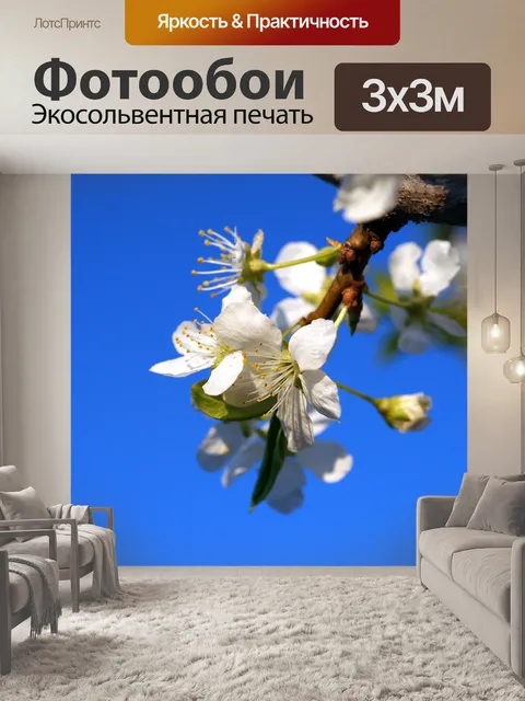 Фотообои Цветы яблони