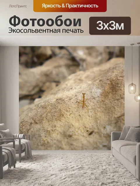 Фотообои Богомол на скале