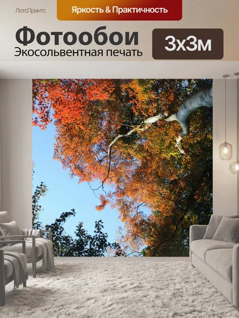 Фотообои Киото осенние цвета