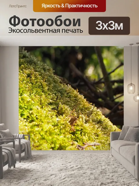 Фотообои Лес