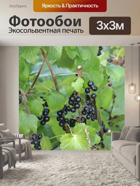 Фотообои Черная смородина