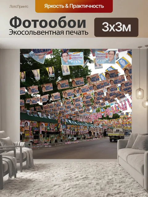 Фотообои Выборы