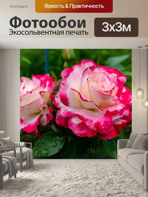 Фотообои Розы