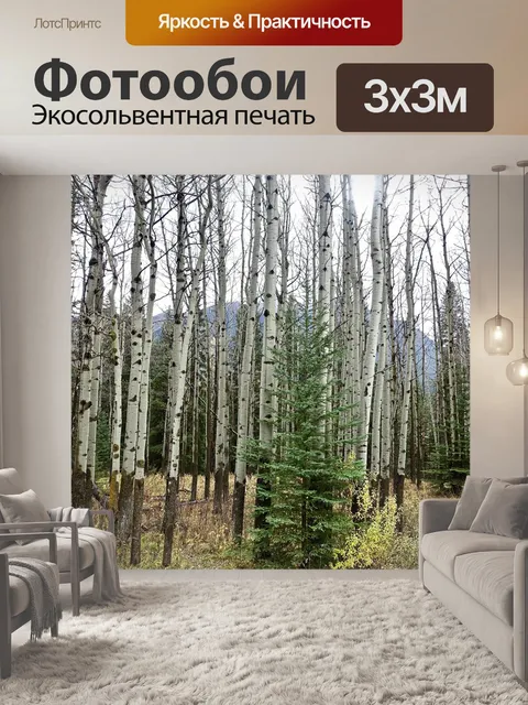 Фотообои Деревья
