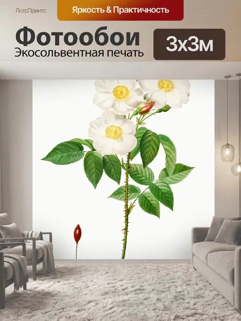Фотообои Роза полевой цветок винтаж старый