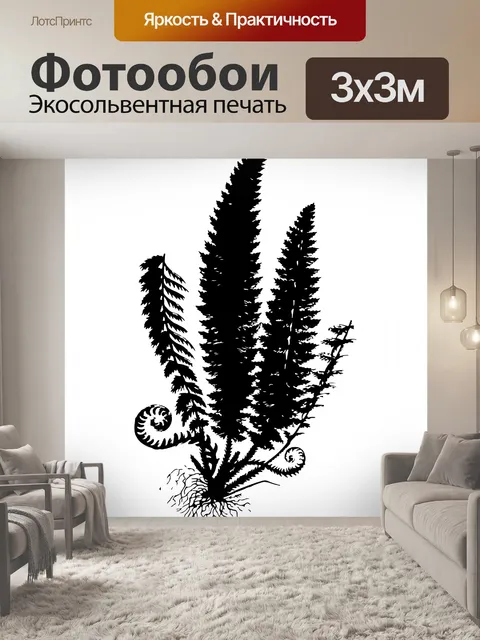 Фотообои Силуэт листьев папоротника Клипарт