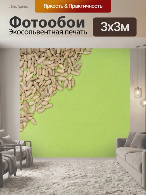 Фотообои Подсолнух