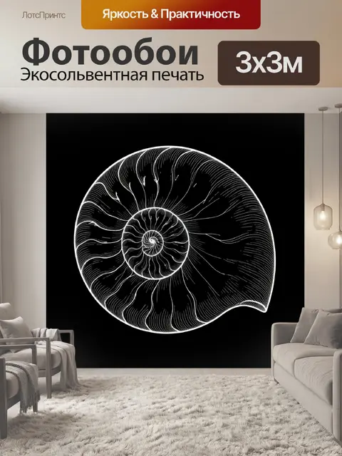 Фотообои Спиральная раковина на черном фоне