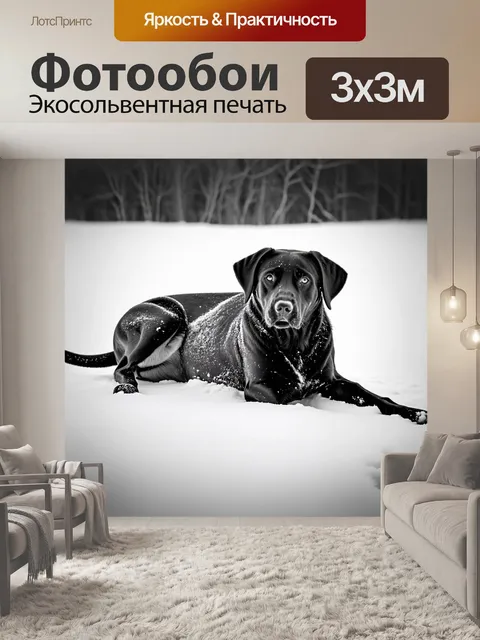 Фотообои изображение лабрадора, лежащего на белом снегу, с черными пятнами на шерсти