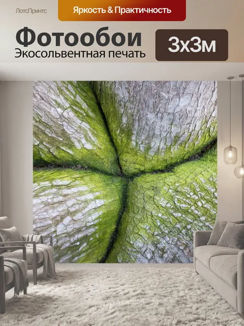 Фотообои Пальмовая лилия
