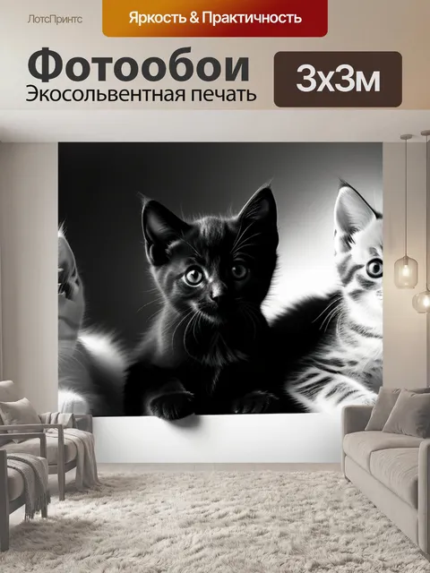 Фотообои с котятами чернобелый