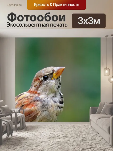 Фотообои Домовой воробей