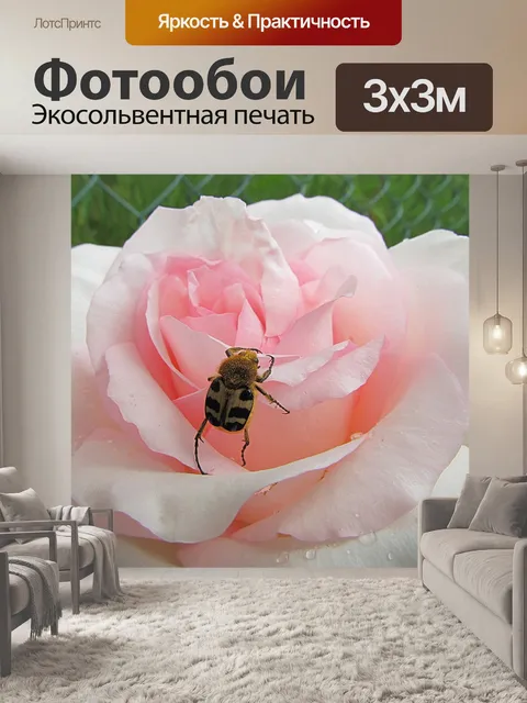 Фотообои Природа