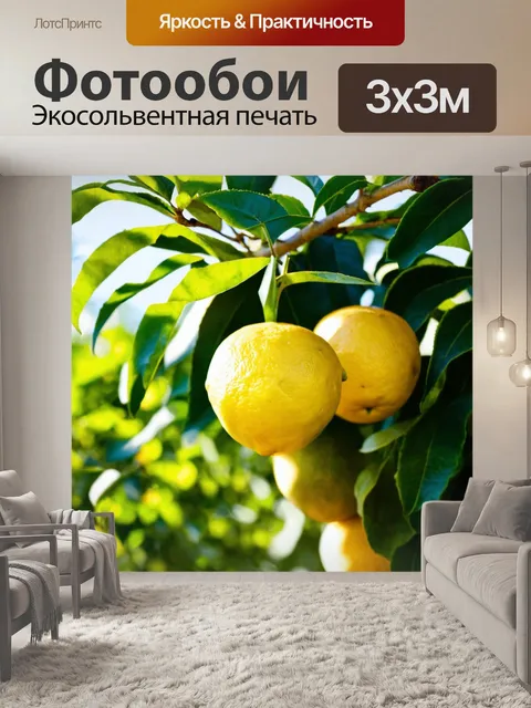 Фотообои лимон, висящий на ветке лимонного дерева, солнечные лучи проникают сквозь листья, создавая атмосферу сада