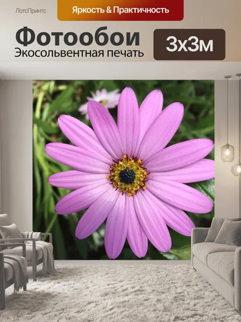 Фотообои Фиолетовый