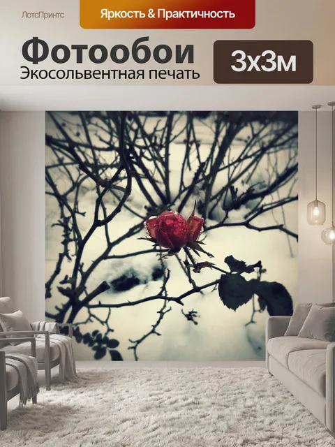 Фотообои Шиповник