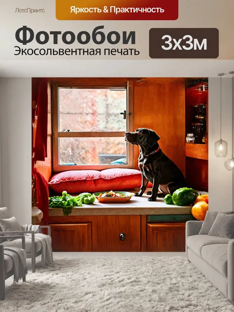 Фотообои лабрадор, уютно устроившийся на подушках в углу уютной кухни с открытым окном
