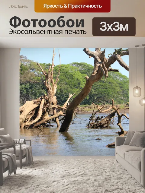 Фотообои Деревья в реке
