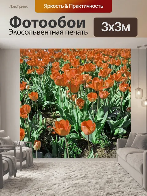 Фотообои Оранжевые Тюльпаны Фон