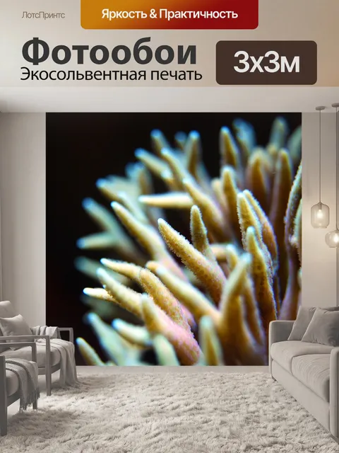 Фотообои Коралл