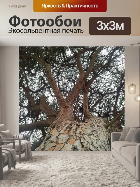 Фотообои Дерево