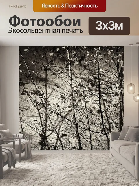 Фотообои Березы
