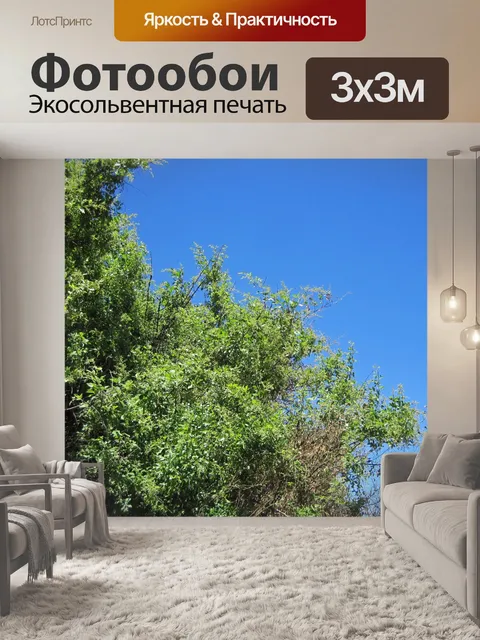 Фотообои листва зеленых ветвей