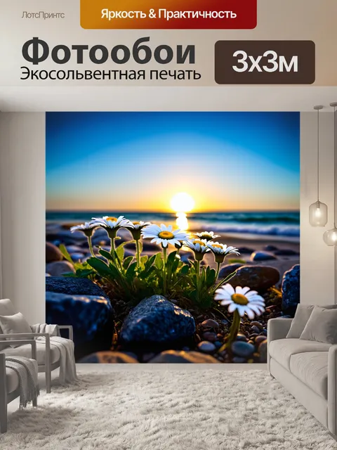Фотообои ромашки, растущие между камнями на берегу моря, в формате панорамного снимка