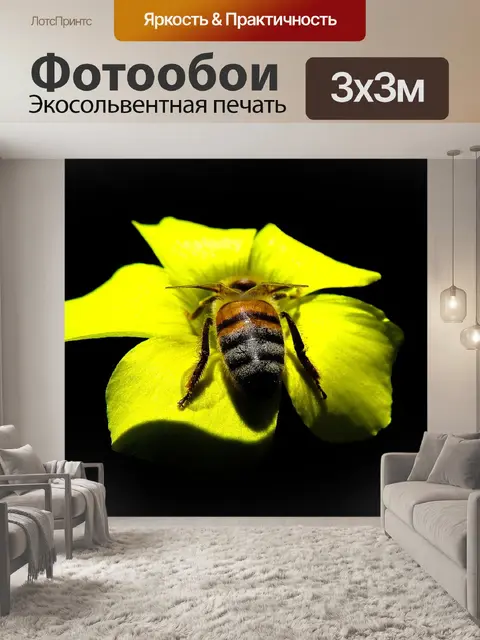 Фотообои Пчела
