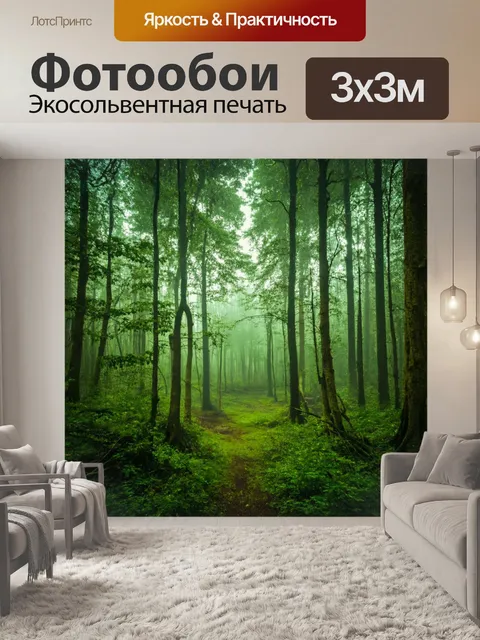 Фотообои потрясающий лес в утреннем свете, где все отражается в каплях росы