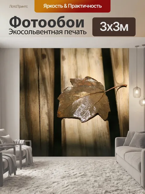 Фотообои Осенний лист
