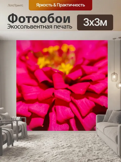 Фотообои красочный цветок макро выстрел