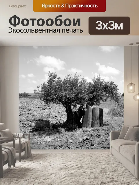 Фотообои Одинокое оливковое дерево в поле