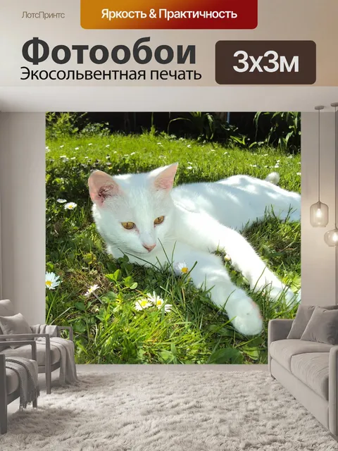 Фотообои Похмелье