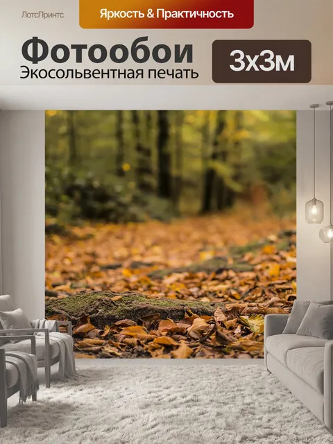 Фотообои Грибы