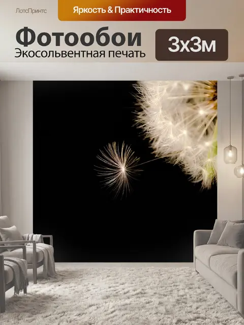Фотообои Одуванчик на черном фоне