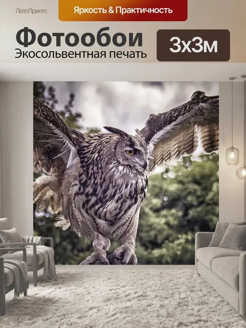 Фотообои Филин