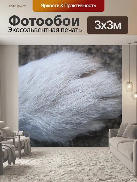 Фотообои лапа собаки