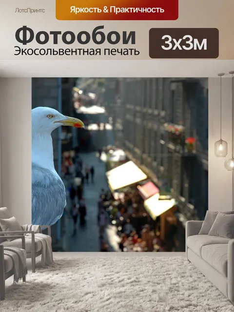 Фотообои Чайка