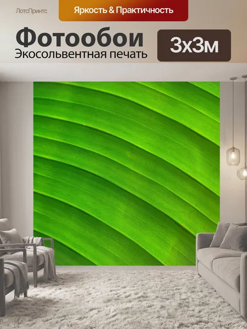 Фотообои Деталь листьев пальмы