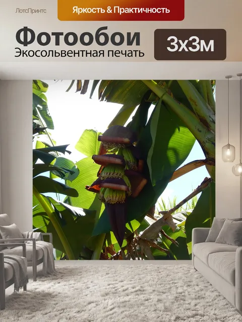 Фотообои Банан