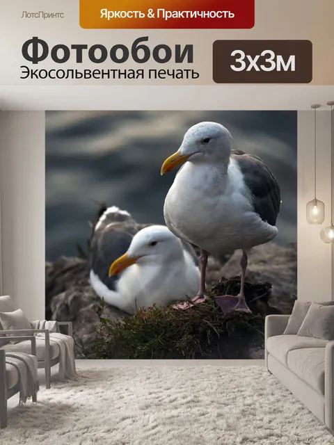 Фотообои чайки