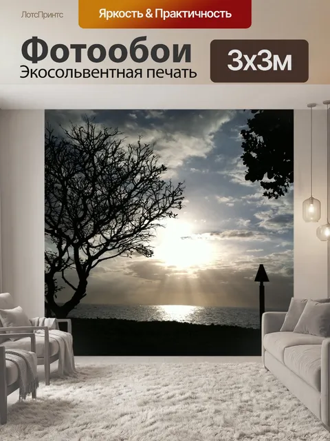 Фотообои Лучи заката