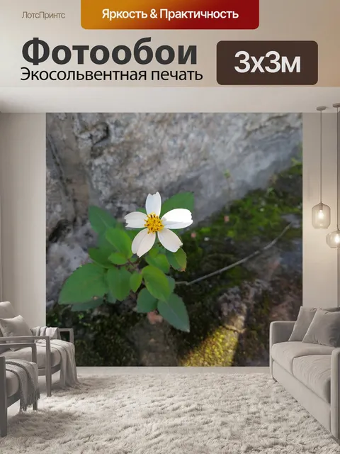 Фотообои Белый цветок